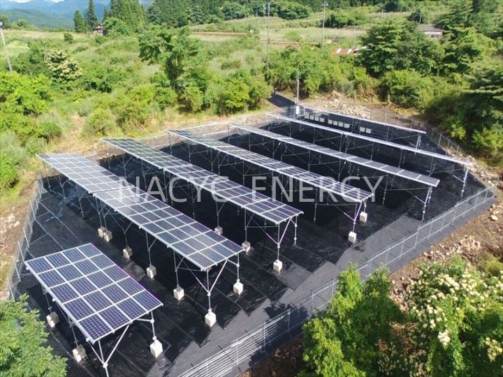 太陽光発電所